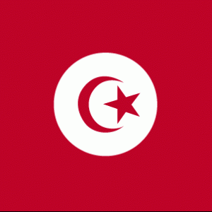 Tunisian